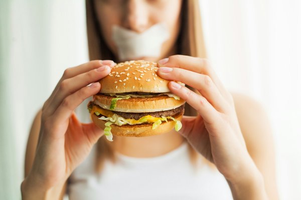 What are the dietary needs of a pregnant Dachshund to ensure the health of the puppies?