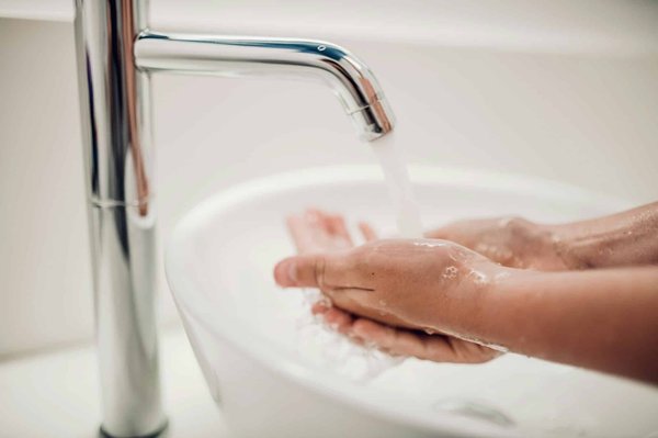 What are the signs of heat exhaustion in cats and how can you prevent it?